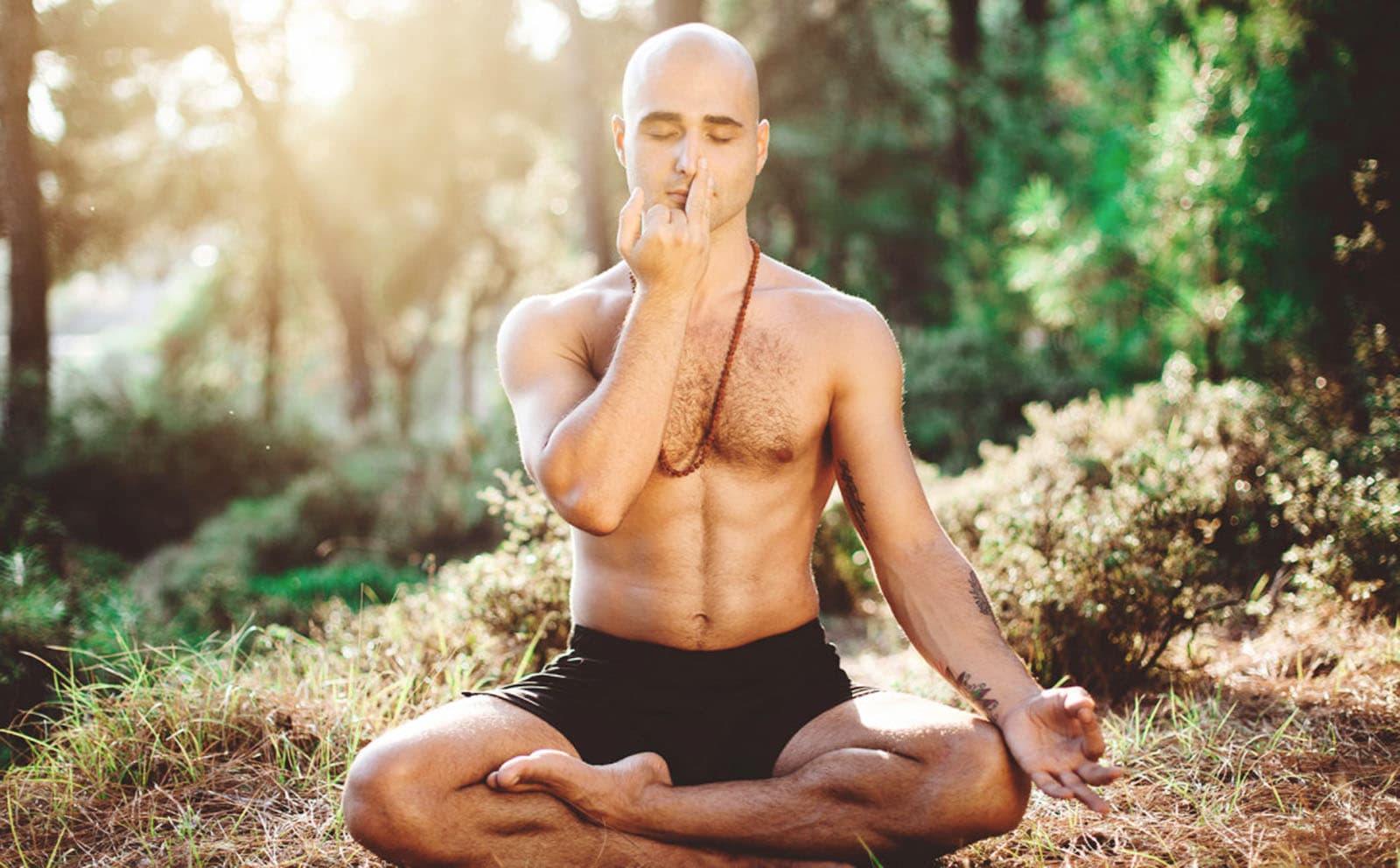  50 Hrs pranayama ttc